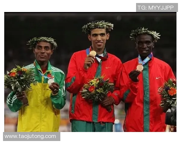 《追逐绿茵梦想 足球黑人球星的奋斗与荣耀之路》