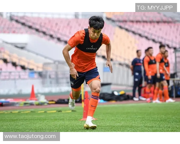 中国足球球星婚外情风波揭秘那些涉及外遇的知名球员及其影响